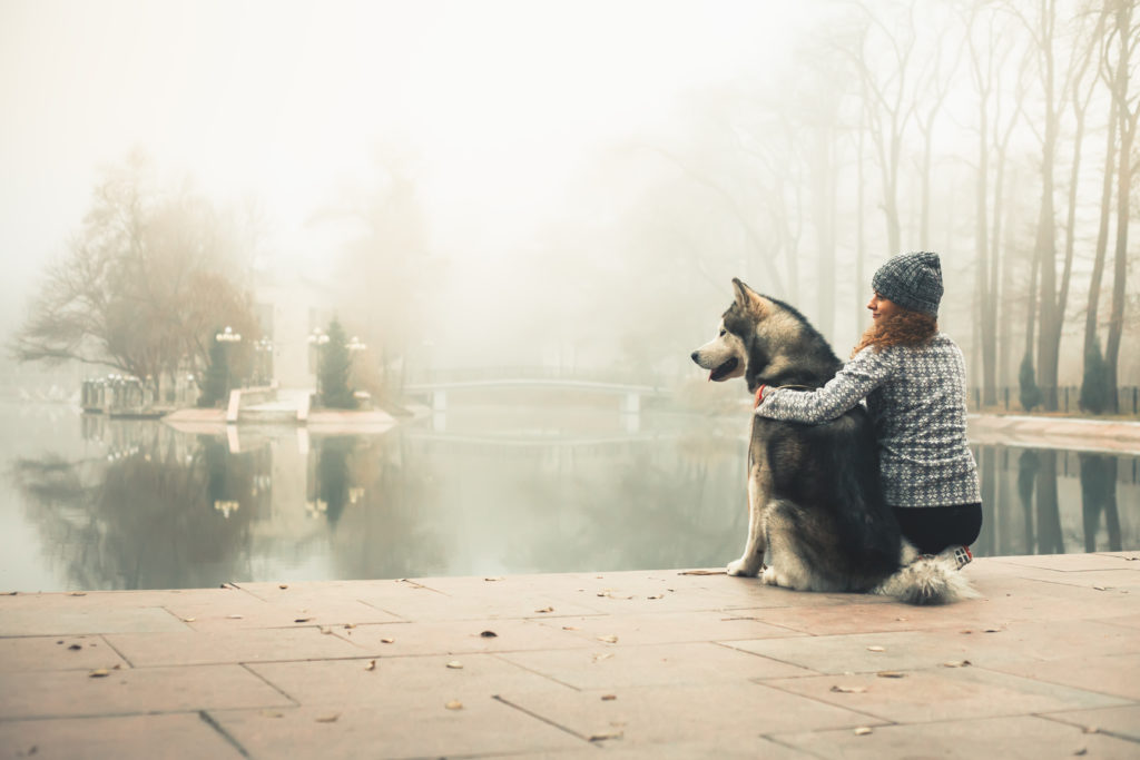 Canva Image of young girl with her dog alaskan malamute outdoor