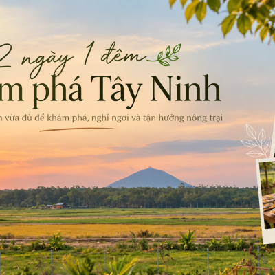 2 NGÀY 1 ĐÊM KHÁM PHÁ TÂY NINH